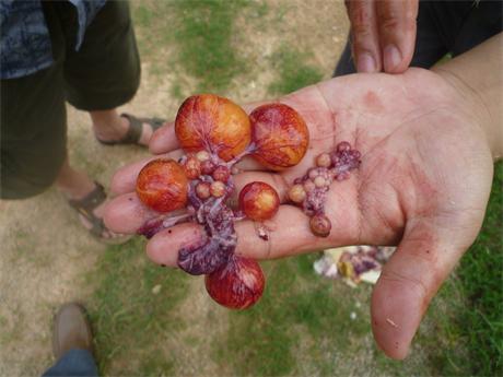 �����ں���ʡ�I���h���u�������g(sh��)ָ��(d��o)���D�V�W(xu��)��(x��)