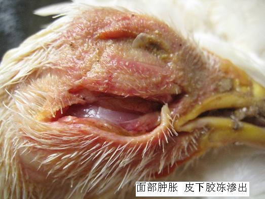 ���ʕr��(y��ng)ԓ��ʲô��λ��ʲô��λ�l(f��)��ʲô����